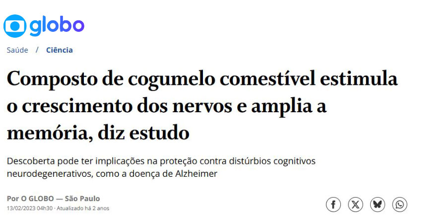 Composto-de-cogumelo-comestível-estimula-o-crescimento-dos-nervos-e-amplia-a-memória,-diz-estudo